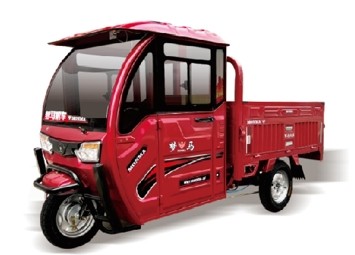 Self-generating Electric Tricycle