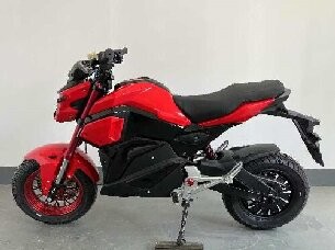 Electric motorcycle